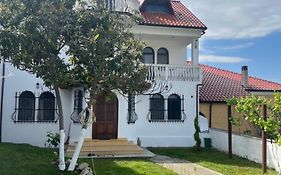 Vila Taga Guesthouse